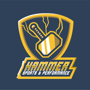Hammer Sports and Performance Veteran’s Day Open Mat